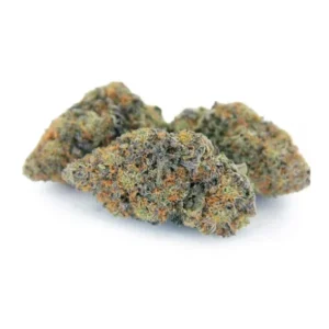 Acai Berry Gelato Strain