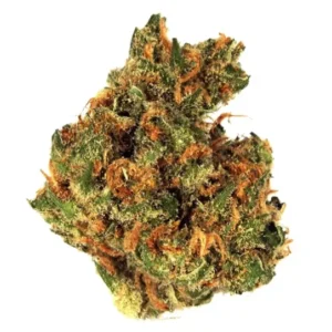 Island Sweet Skunk Strain