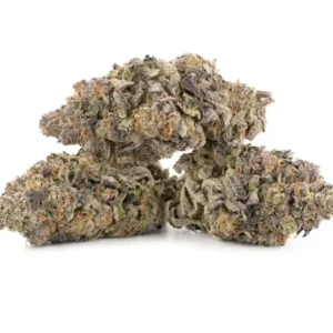 Mimosa Sativa Strain